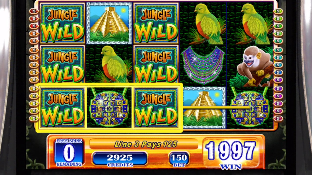Casino för Windows AMY 29556