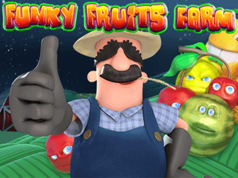 Funky Fruits 24304